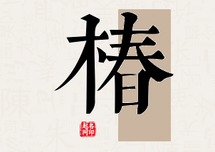 椿字公司取名寓意