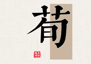 荀字公司取名寓意