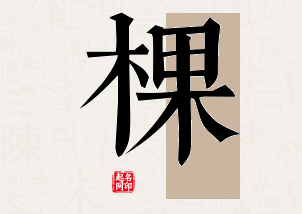 棵字公司取名寓意