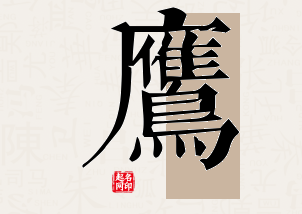 鹰字公司取名寓意