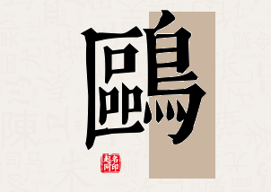 鸥字公司取名寓意