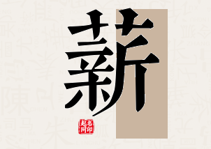 薪字公司取名寓意