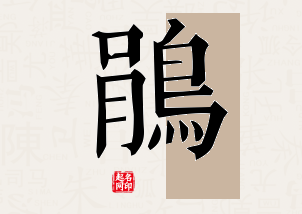 鹃字公司取名寓意