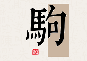 驹字公司取名寓意