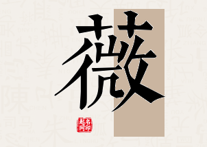 薇字公司取名寓意