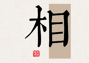 相字公司取名寓意