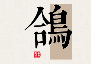 鸽字公司取名寓意