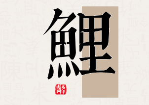 鲤字公司取名寓意