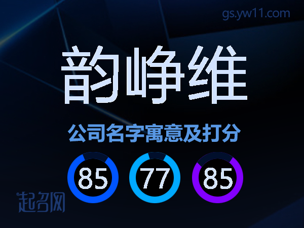 韵峥维公司名字寓意及打分