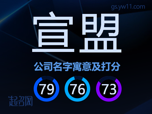宣盟公司名字寓意及打分