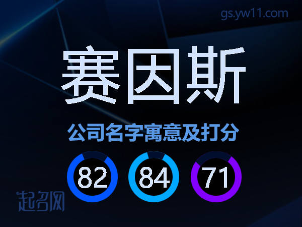 赛因斯公司名字寓意及打分