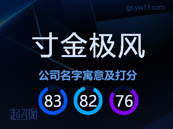 寸金极风公司名字寓意及打分