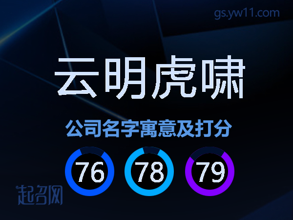 云明虎啸公司名字寓意及打分