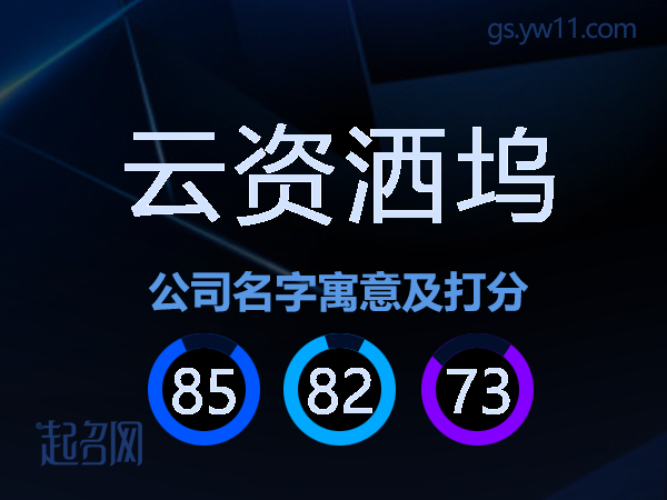 云资洒坞公司名字寓意及打分