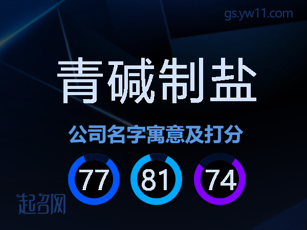 青碱制盐公司名字寓意及打分