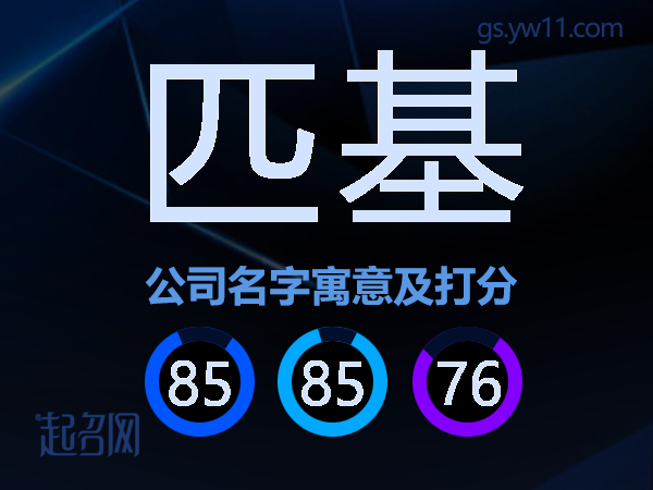 匹基公司名字寓意及打分