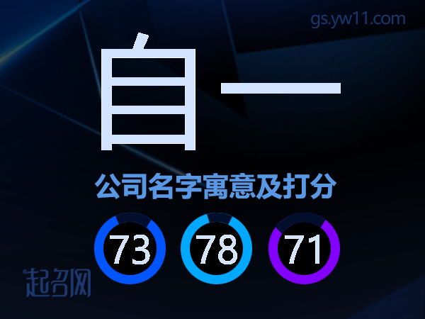 自一公司名字寓意及打分