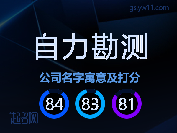 自力勘测公司名字寓意及打分