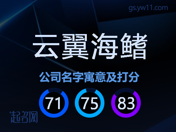 云翼海鳍公司名字寓意及打分