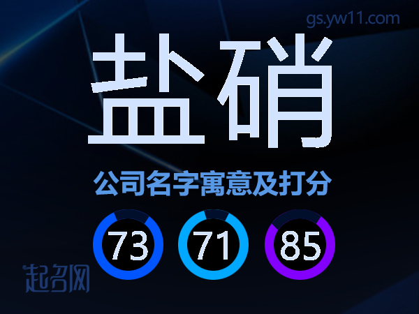 盐硝公司名字寓意及打分