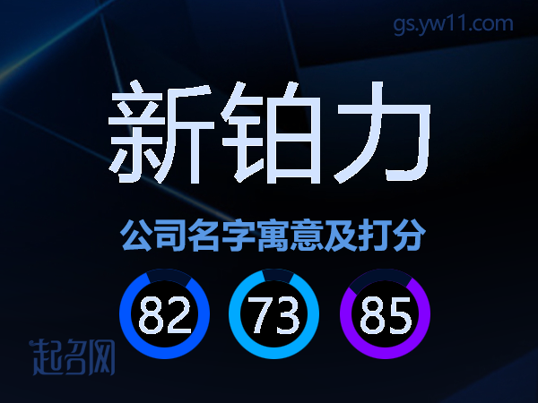 新铂力公司名字寓意及打分