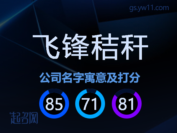 飞锋秸秆公司名字寓意及打分