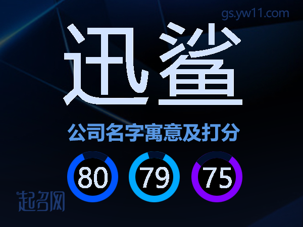 迅鲨公司名字寓意及打分