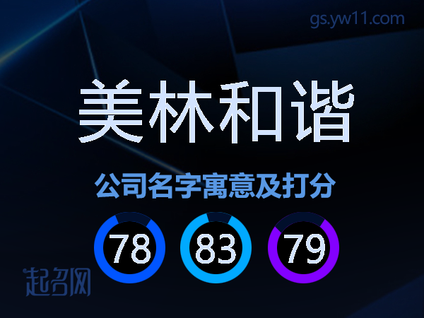 美林和谐公司名字寓意及打分