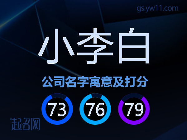 小李白公司名字寓意及打分