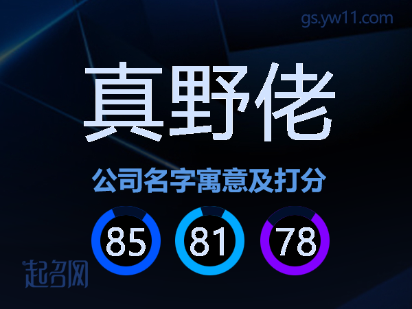 真野佬公司名字寓意及打分