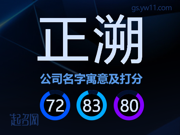 正溯公司名字寓意及打分