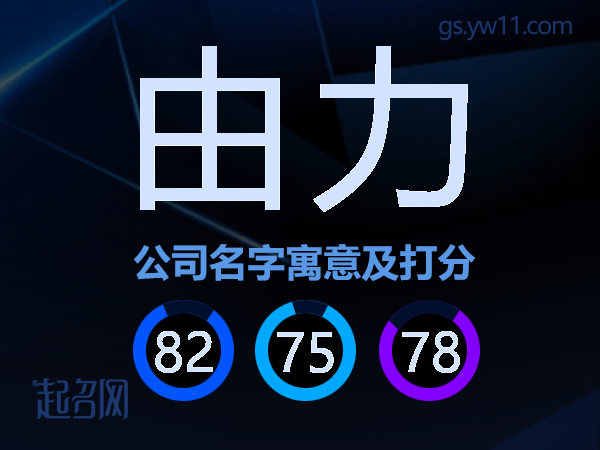 由力公司名字寓意及打分