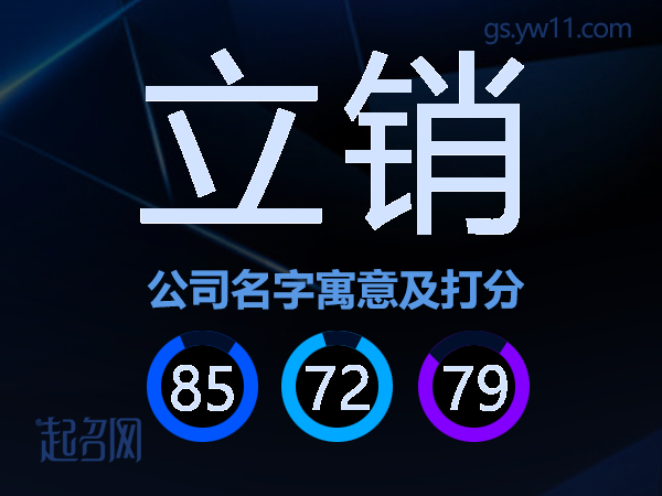 立销公司名字寓意及打分