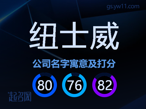 纽士威公司名字寓意及打分