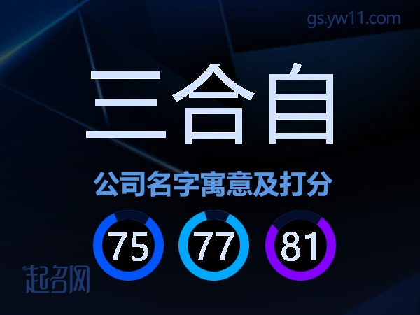 三合自公司名字寓意及打分