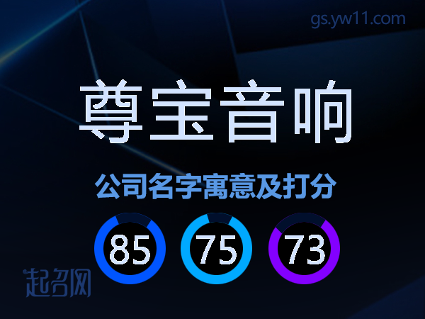 尊宝音响公司名字寓意及打分