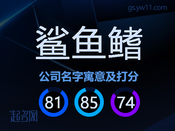 鲨鱼鳍公司名字寓意及打分