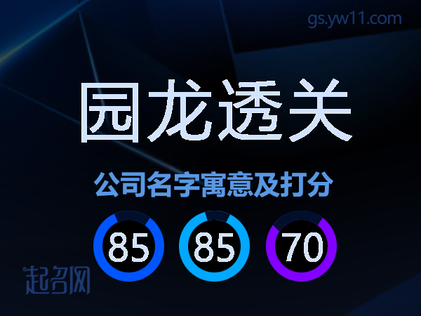 园龙透关公司名字寓意及打分