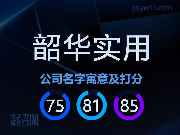 韶华实用公司名字寓意及打分