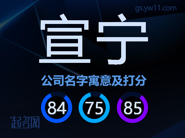 宣宁公司名字寓意及打分