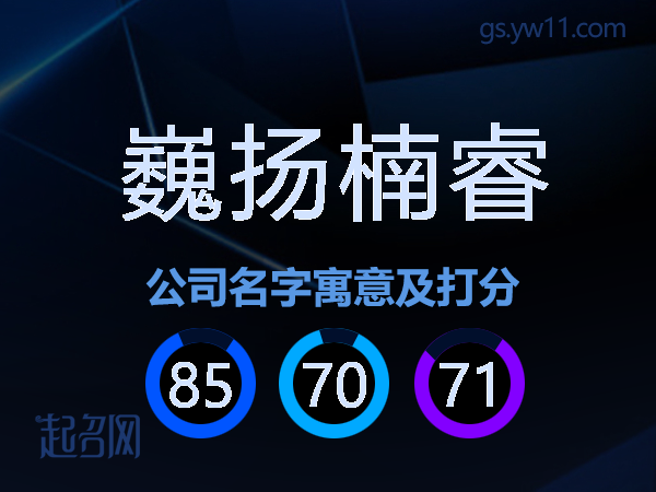 巍扬楠睿公司名字寓意及打分