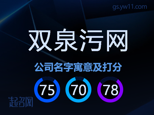 双泉污网公司名字寓意及打分