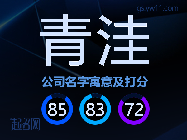 青洼公司名字寓意及打分