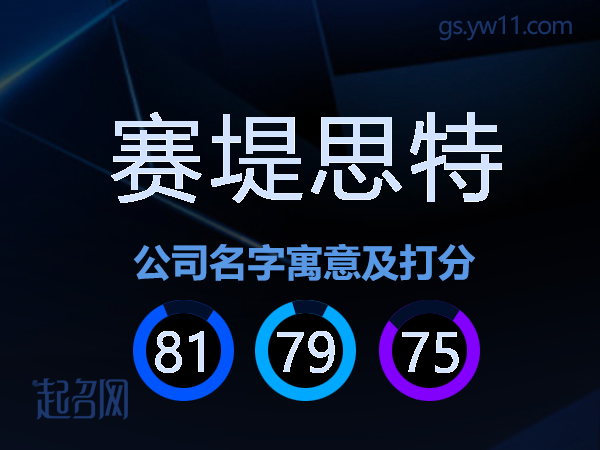 赛堤思特公司名字寓意及打分