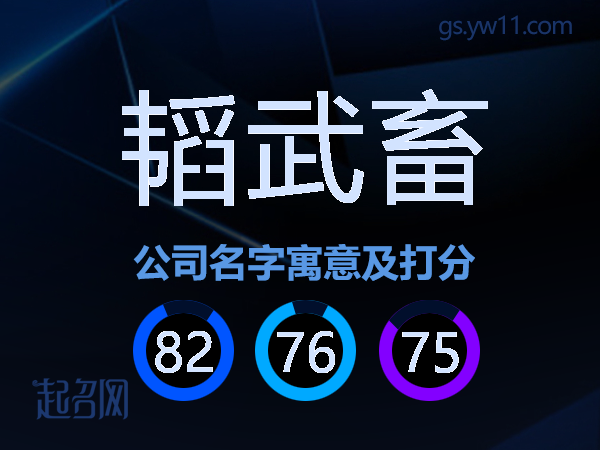 韬武畜公司名字寓意及打分