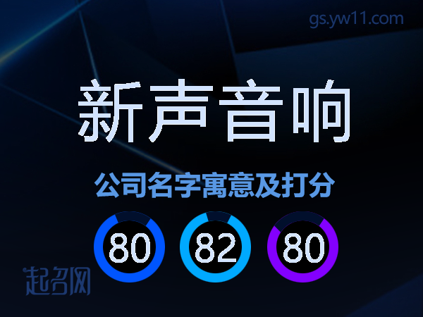 新声音响公司名字寓意及打分