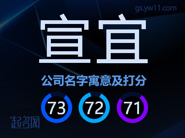 宣宜公司名字寓意及打分