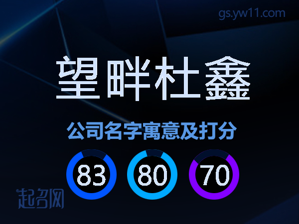 望畔杜鑫公司名字寓意及打分
