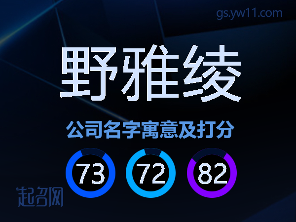 野雅绫公司名字寓意及打分