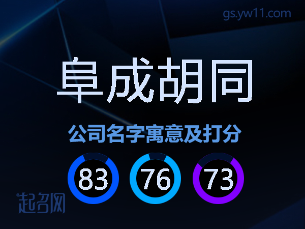 阜成胡同公司名字寓意及打分